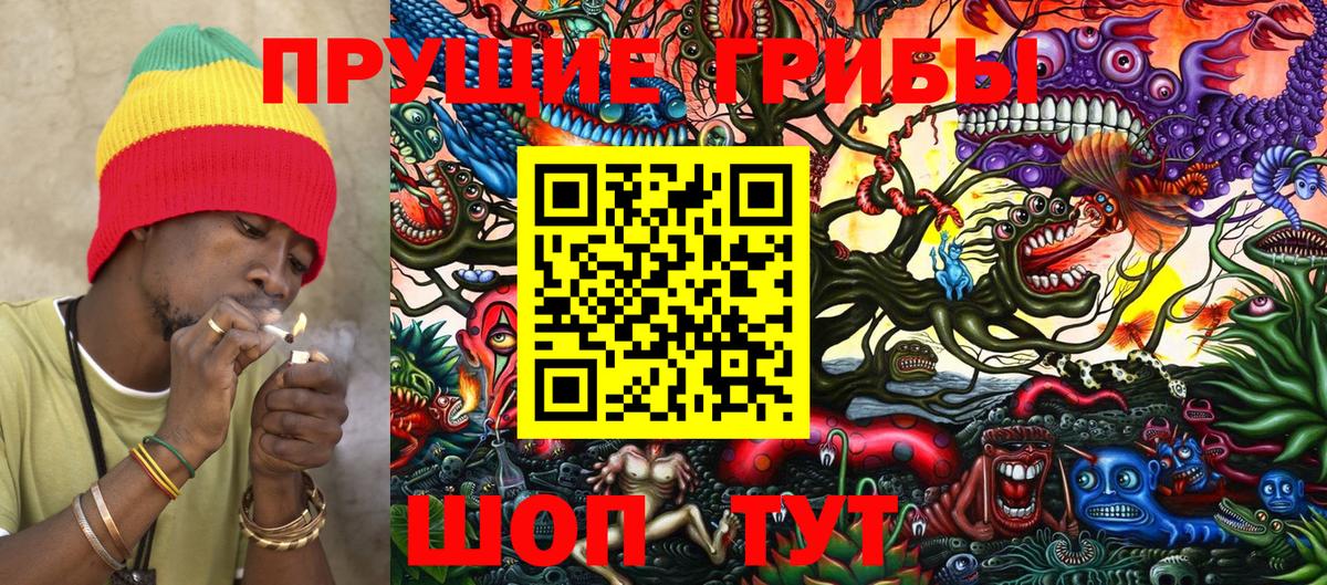 Галлюциногенные грибы Psilocybine cubensis  Вход с VPN  Галлюциногенные грибы мицелий  Курган 